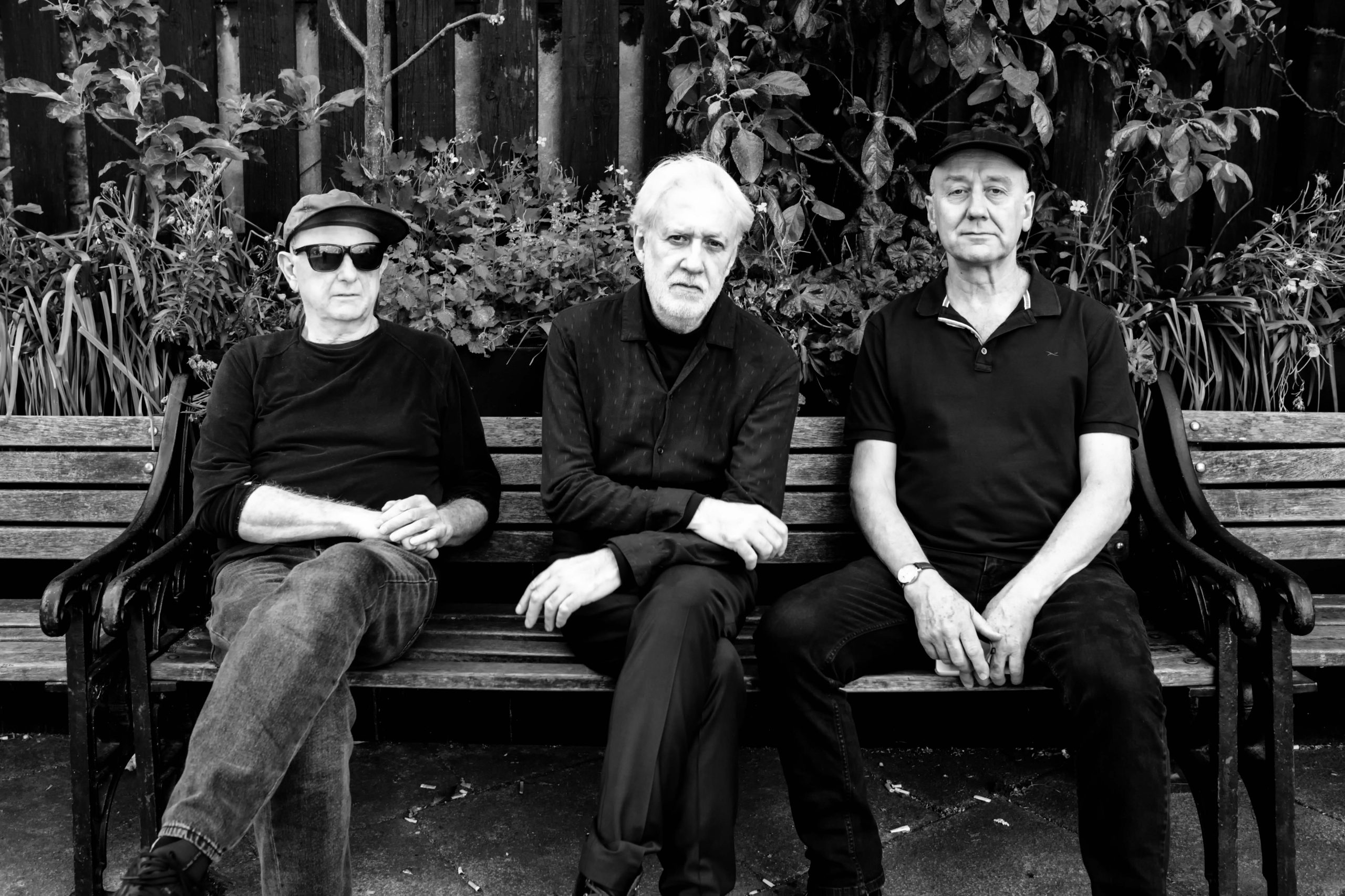 The Necks