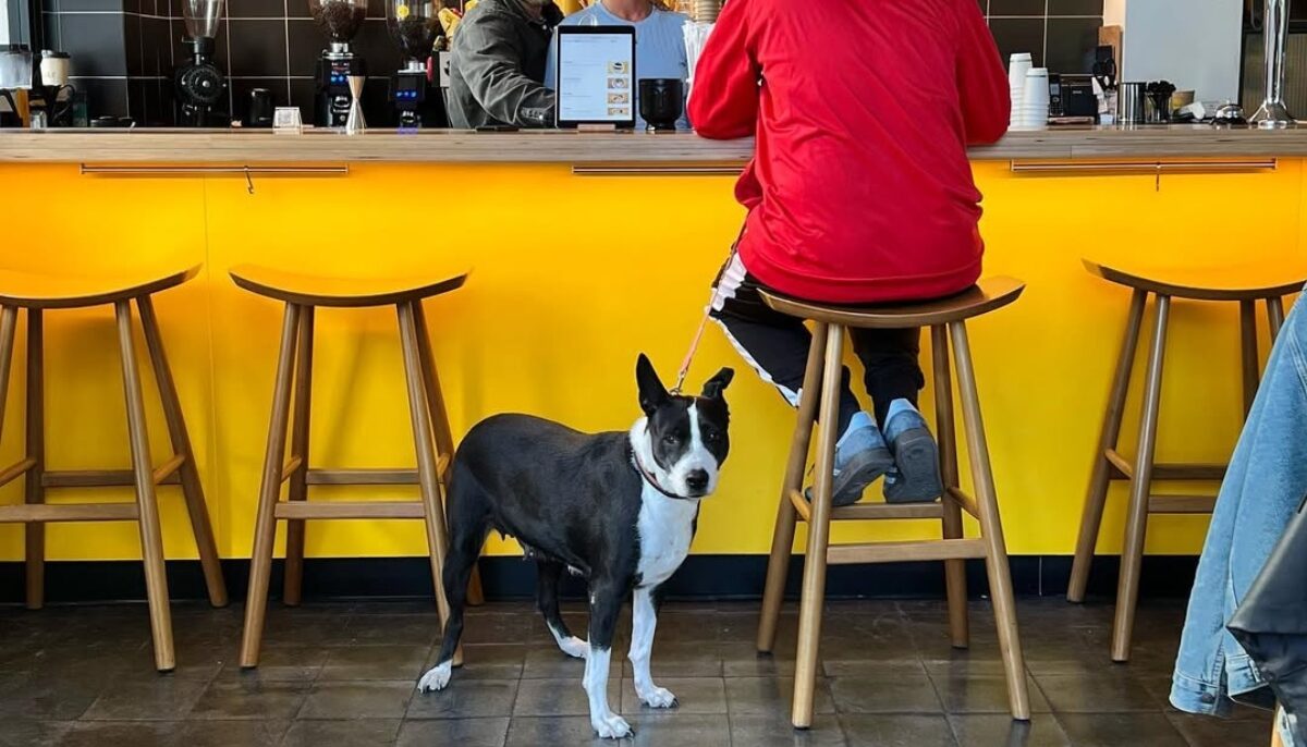 Το pet friendly πρόσωπο της Αθήνας