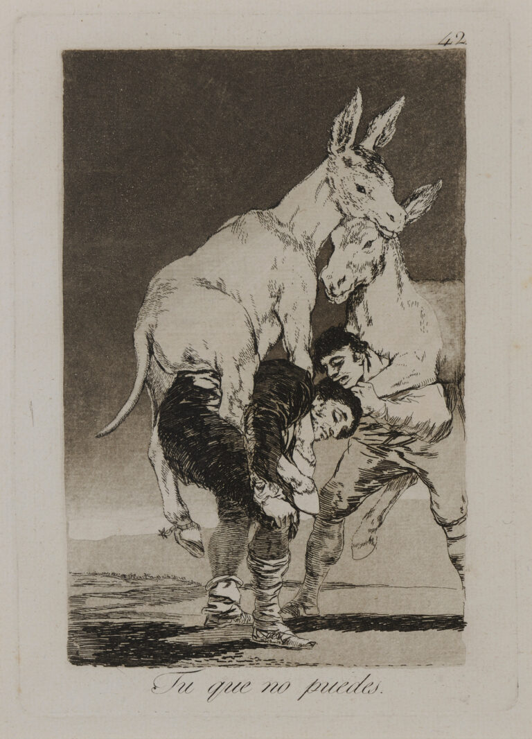 Francisco Goya, Los Caprichos