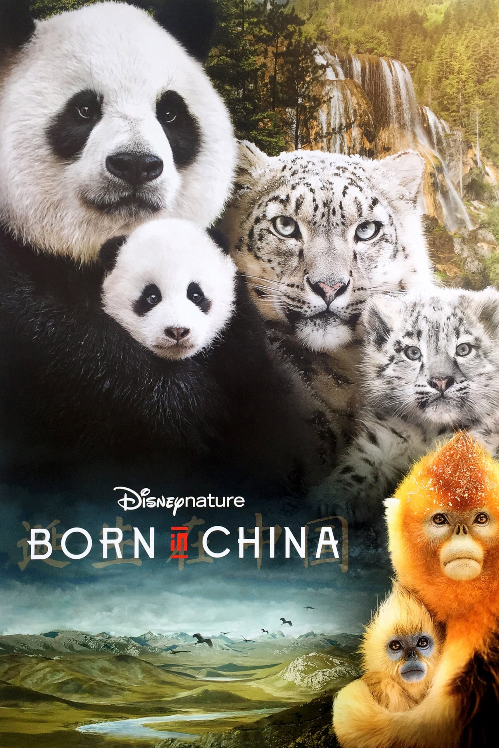 Born in China αφίσα