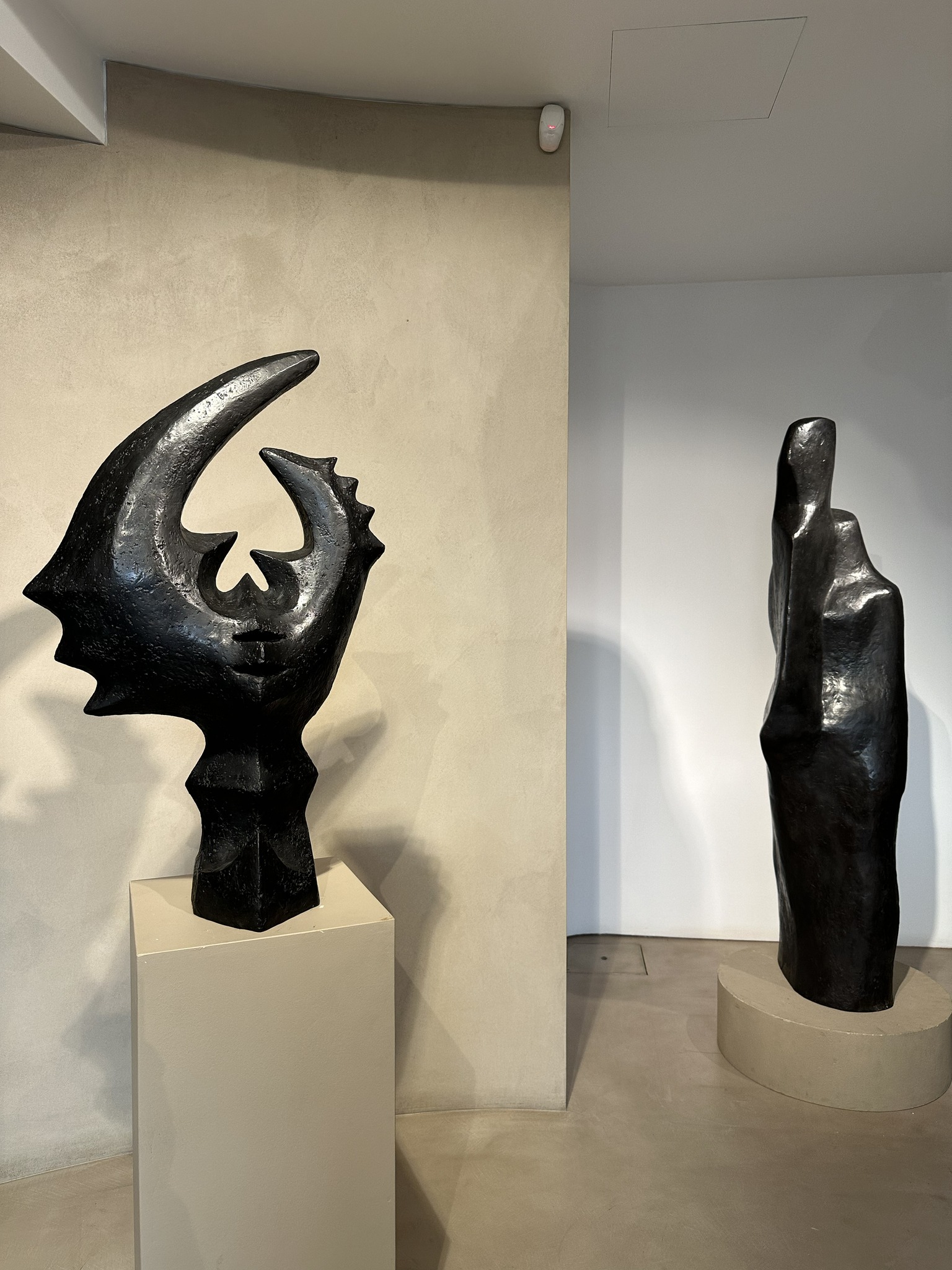 P gallery