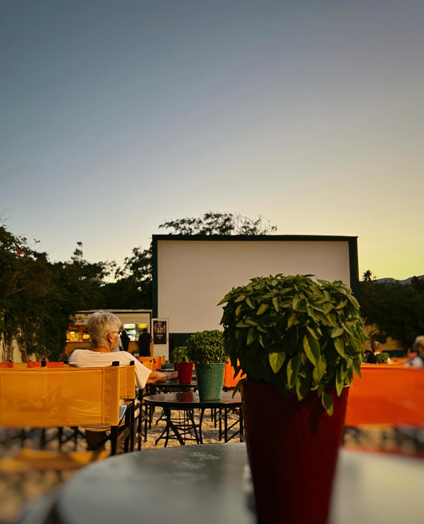 Cine Ρία