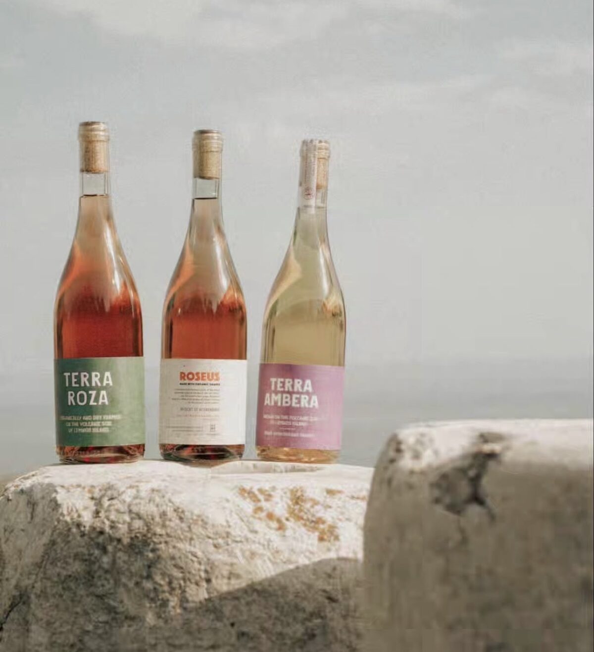 Wine Wednesdays: Το «Ex Machina» αφιερώνει τις Τετάρτες στο κρασί