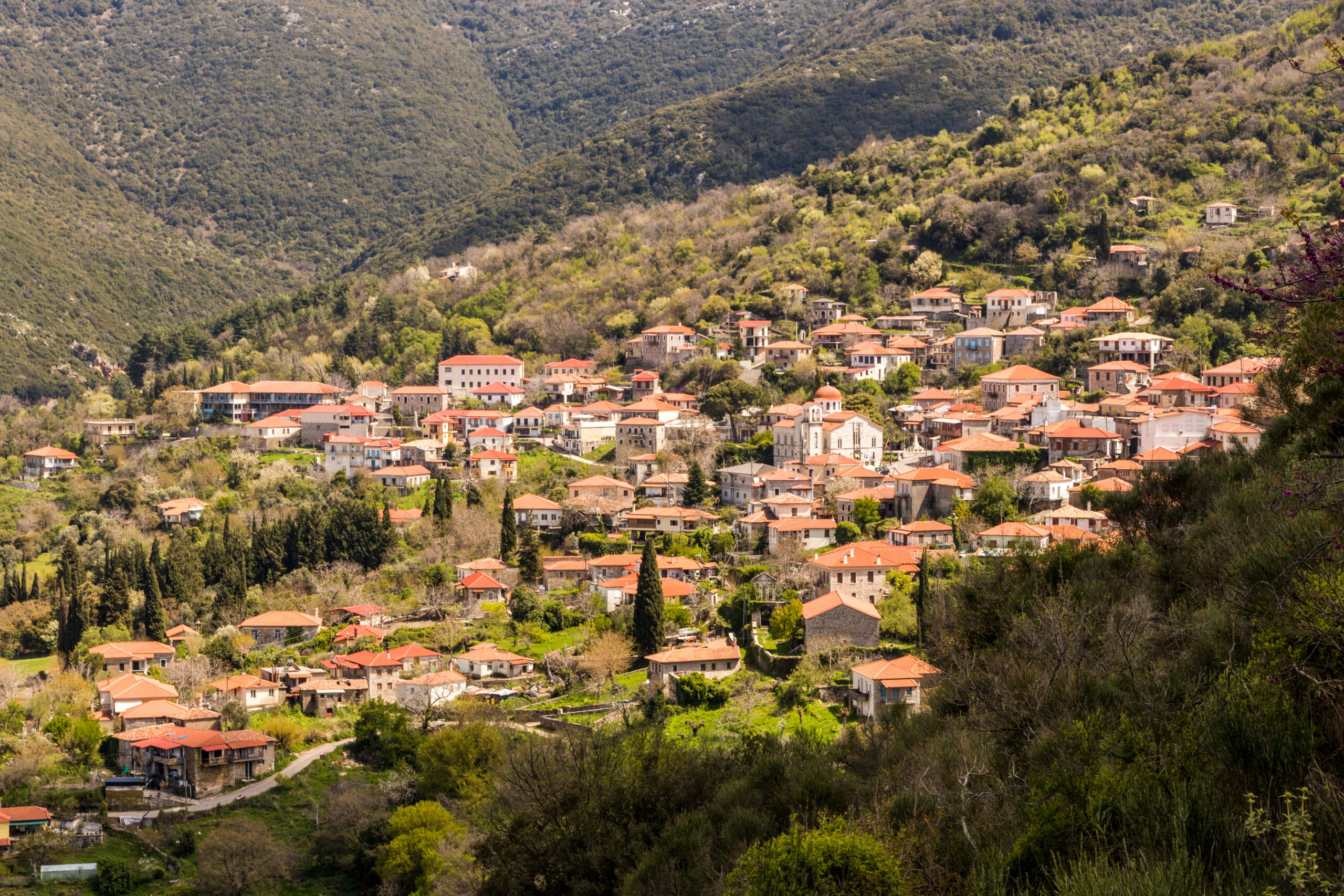 Ανδρίτσαινα