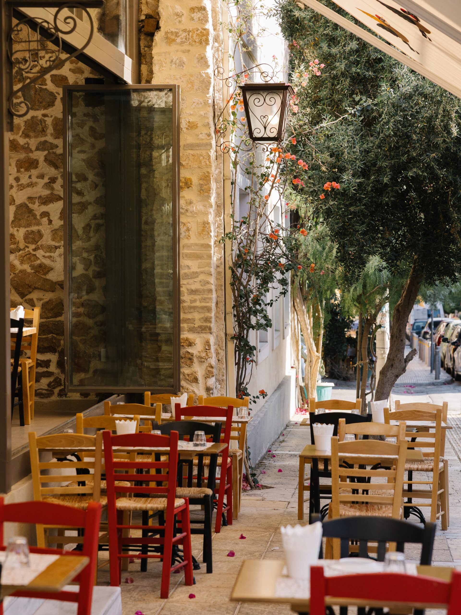 Καρδερίνα