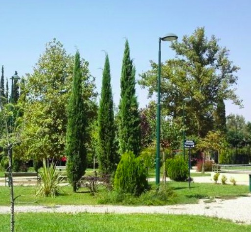 Άλσος Προμπονά