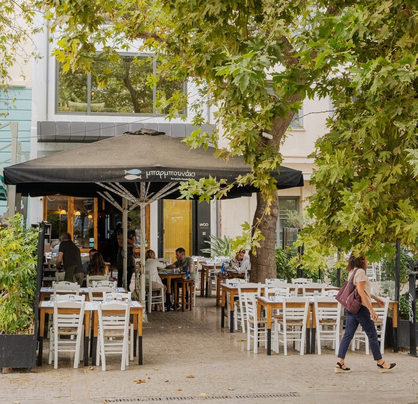 Μπαρμπουνάκι διά χειρός Παπαϊωάννου Σύνταγμα