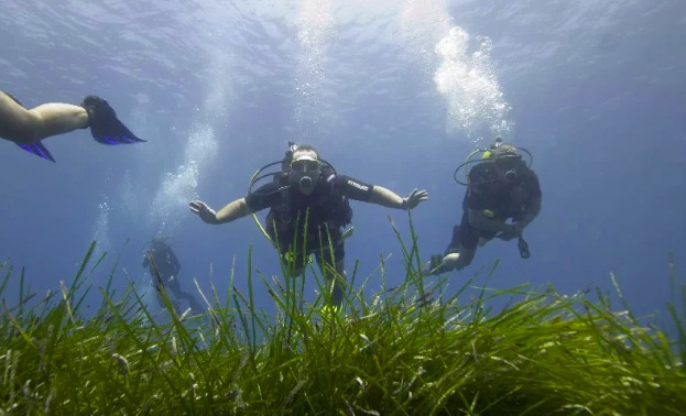 3 fun dives για όσους μείνουν Αθήνα τον Δεκαπενταύγουστο