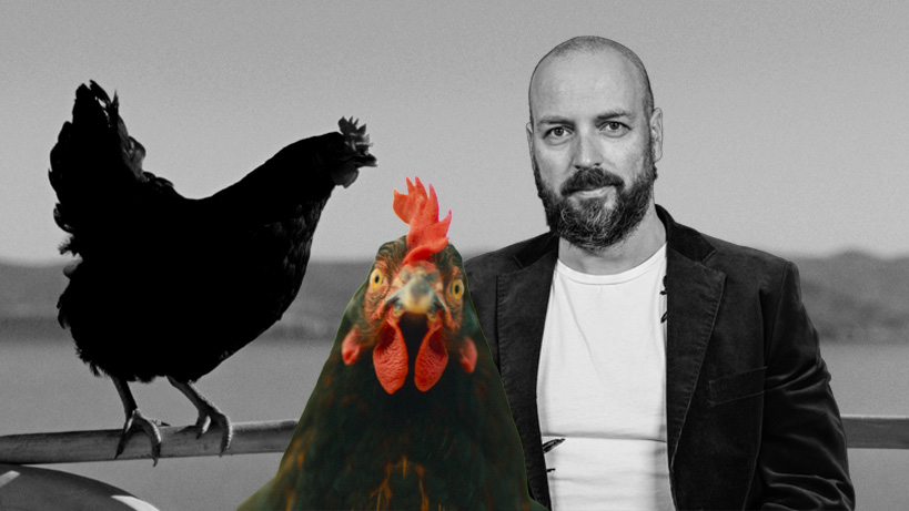 «Κότα»: Ο Γκιόργκι Πάλφι θα αλλάξει τον τρόπο που βλέπεις τις κότες