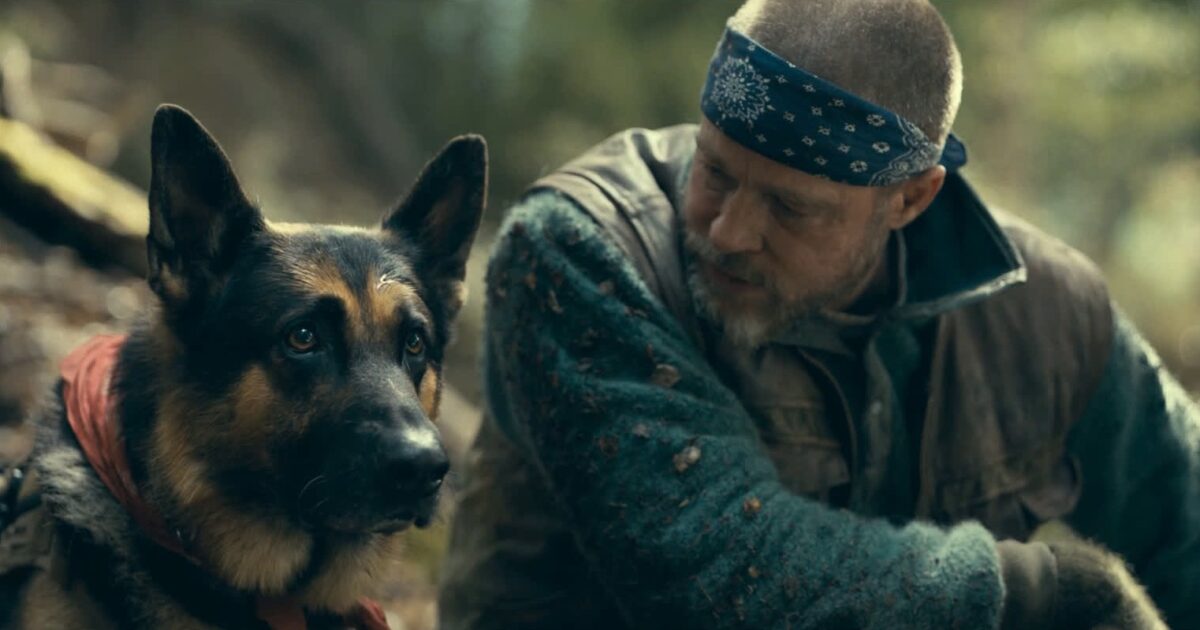 Ελληνικό box office: Ο Μπραντ Πιτ και ο σκύλος του κέρδισαν το κοινό