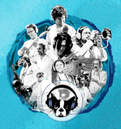 Snarky Puppy