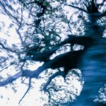 Τάσος Βρεττός: ?Trees Dance!