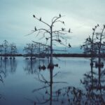 Mustafah Abdulaziz: Water