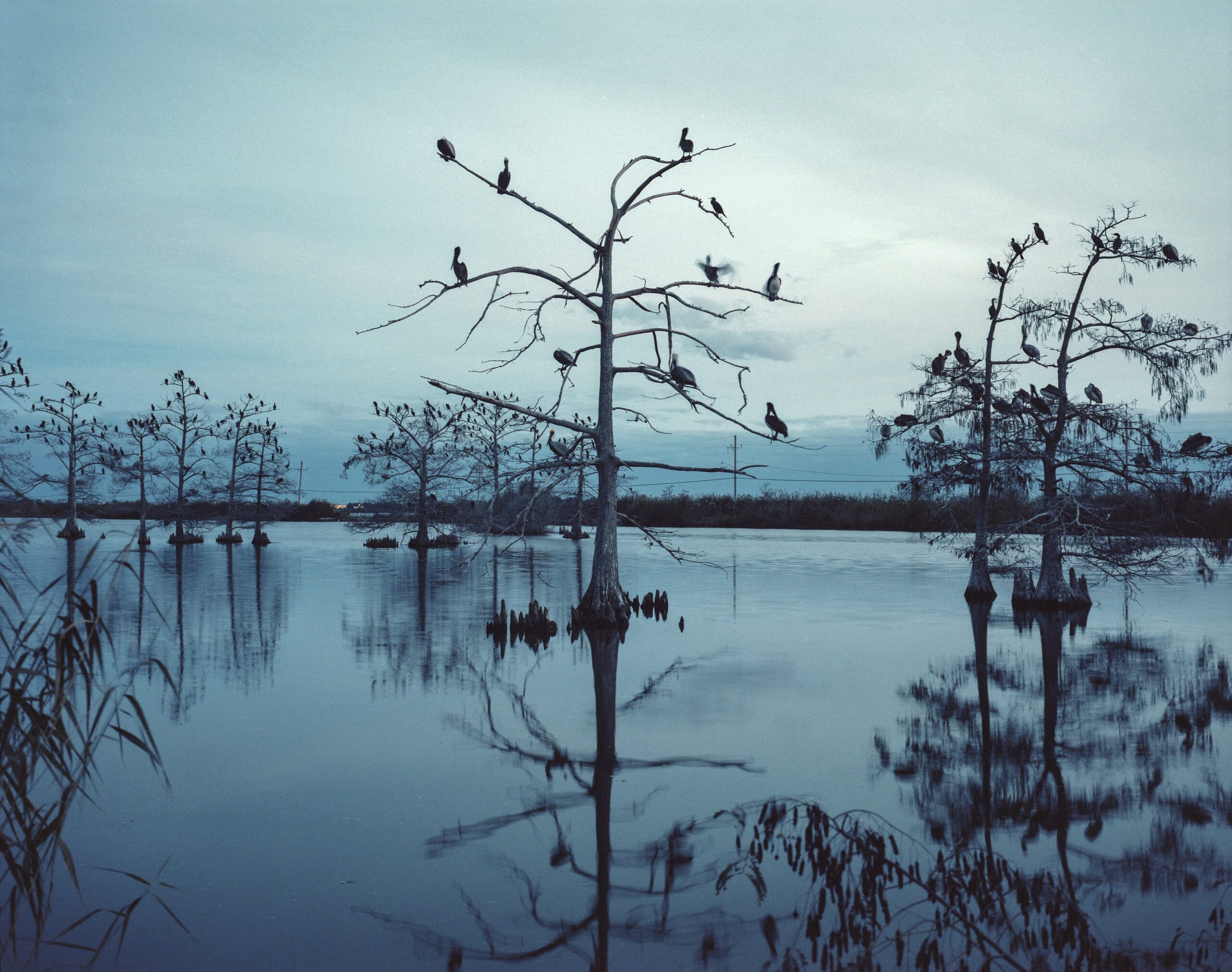 Mustafah Abdulaziz: Water