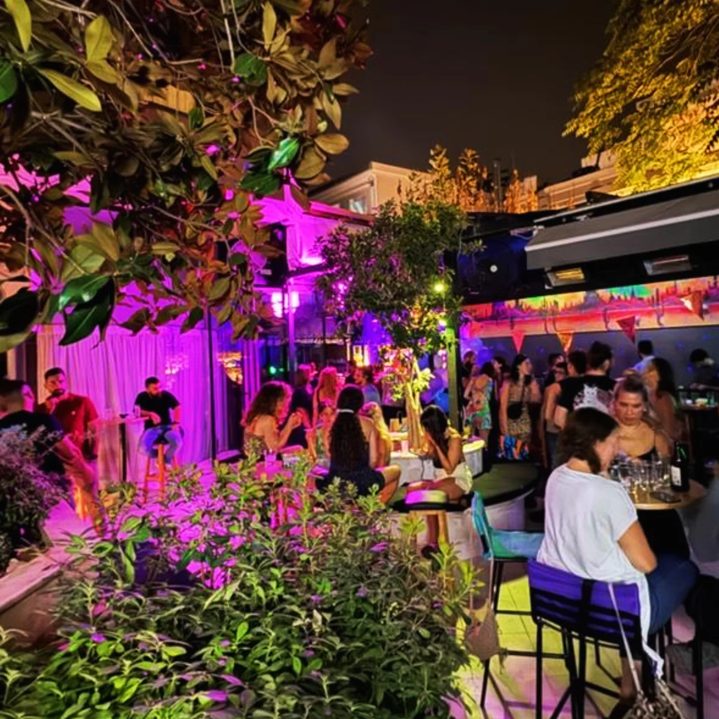 Cactaki bar